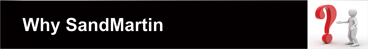 why Sandmartin